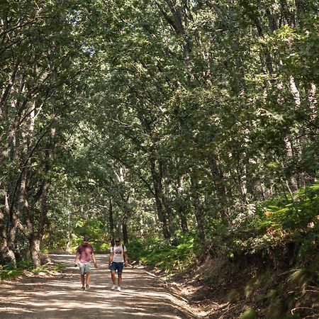 Casa Rural La Nava ナバルエンガ エクステリア 写真